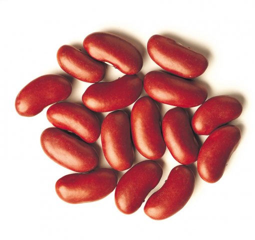 Dark red kidney beans